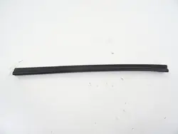Junta ventana puerta trasera derecha Nissan Juke F16 OEM