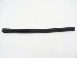 Nissan Juke F16 bak höger dörrfönsterpackning OEM
