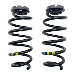 Molas traseiras Dacia Jogger 550208538R