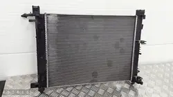 Radiador Dacia Logan 2019 214104684r