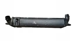 Radiatore Intercooler Renault Laguna III