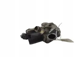 EGR-ventil Ford Transit 701621040
