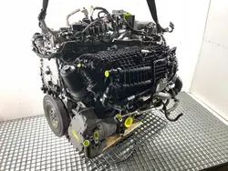 Komplett Motor OEM LORK-2361-131617 256930