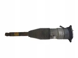 Tesla OEM 600635200C Hinterer linker Luftstoßdämpfer