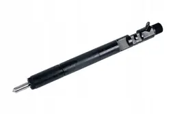 Delphi R06001D-12B1 Injektor