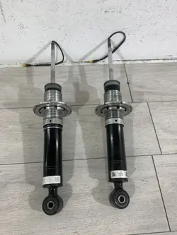 Ferrari F12 Berlinetta Hintere Stoßdämpfer OEM 286346