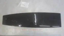 Pannello Tetto Posteriore in Vetro TESLA X