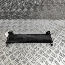 Maserati OE Servokühler OEM 670009814