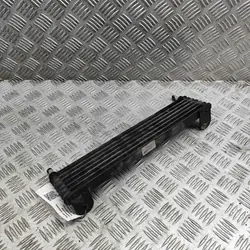 Refroidisseur direction Maserati OE OEM 670009814