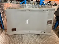 Käytetty Vaalea Kattopaneeli OEM TM31624 BMW X1 F48