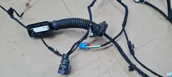 Harness Porta Audi A5 8W OEM 8W8971029E
