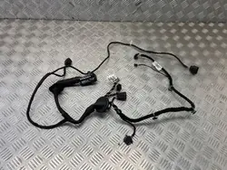 Porsche OE 9J1971693E Taycan Loquet Portière Arrière