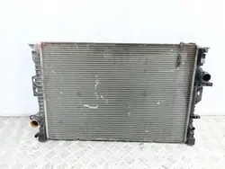 Radiateur d'eau Ford S-MAX 2008 OEM AMD69941