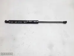 Supports de hayon arrière Peugeot 207 2008