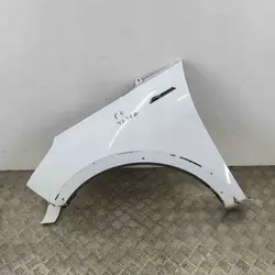 Parafango anteriore sinistro Ford OE