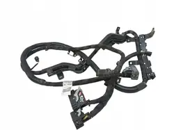 OEM 00505728980 bedrading voor Alfa Romeo Tonale
