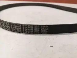 Volvo OE 31430015 Mehrrippenriemen - Gebraucht