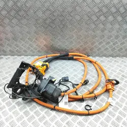 Câble de charge Porsche Taycan 9JA971093P