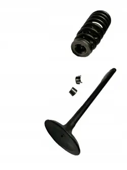 Imuventtiilijousi OEM BB5S Ford 2.0 EcoBoost