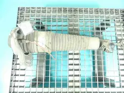 Amortizzatore Pneumatico Anteriore Sinistro Audi A6 C6