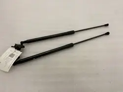 Lexus RX 450H 2021 Konepellitukija OEM 534400E070