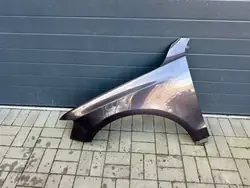 Audi Q5 SQ5 8R0 Vänster Framskärm