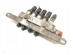 Injecteurs GPL OEM 09SQ9 - État Utilisé