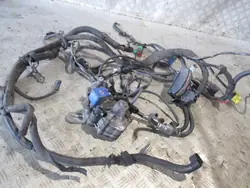 Stag LPG-Steuergerät OEM STEROWNIK PAROWNIK LISTWA WTRYSKOWA