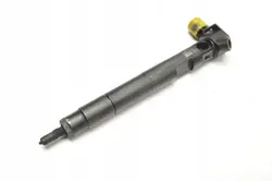Mercedes-Benz OEM 28230891 A6510701387 Insprutare