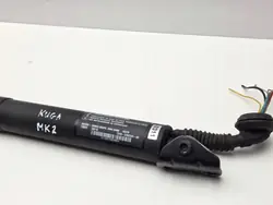 OEM KUGA MK2 M9ME 0311 Klepstempels - 2 Stuks