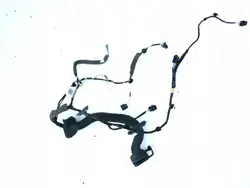 Porte avant droite OEM 241253479R pour Renault Zoe 5D