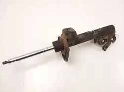 Ammortizzatore anteriore Mercedes-Benz A W169 2007 A1693200130