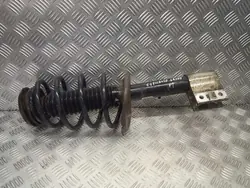 Amortiguador Trasero Derecho Citroen OE OEM