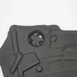 Isolamento Porta BMW X6 E71 OEM 7355620 Direito Dianteiro