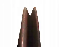 Poulie de vilebrequin VW Transporter T3 1.7 Diesel 79-02 OEM