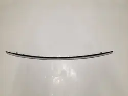 MINI COOPER R50 R53 Moldura Cromada Para-choque Frontal 7032900