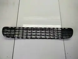 Zentralgrill MINI Countryman R60