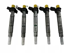 Injecteurs BMW 2.0d 3.0d 0445116024 0445116001