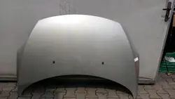 PEUGEOT 307 Motorhuv 2005-2008 OEM 7901L9