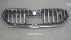 Grill BMW F90 M5 Competition