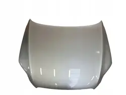 AUDI Q7 4L Lyft Motorhuv LX7W