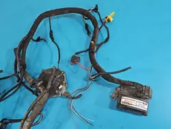 Kit de instalación LPG STAG 4 QBOX BASIC