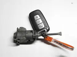 Hyundai ix35 09-13 Deur-inleg OEM FLS6068