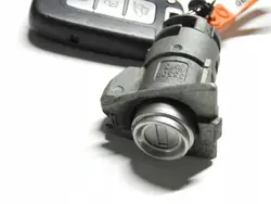 Insert Porte Hyundai ix35 09-13 OEM FLS6068
