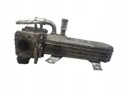 Enfriador EGR Volkswagen Golf V 038131513D