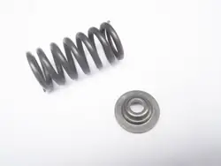 Mola de Válvula OEM 9811C para Citroen Peugeot Traveller 1.5HDI