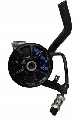 Ford OE GK21-3A696-BB Servostyrningspump