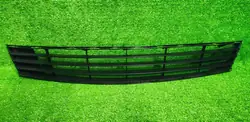 Griglia Paraurti Anteriore Renault Clio III 2005-