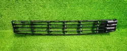 Frontstoßstangen-Gitter Renault Clio III 2005-