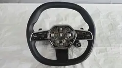 Paddles Volante Multifunção OEM 484005602R Renault